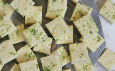 Gin and Tonic Fudge