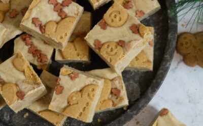 Gingerbread Fudge!